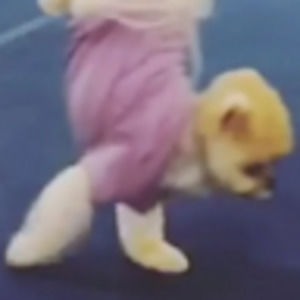 Meet your Posher, Alana